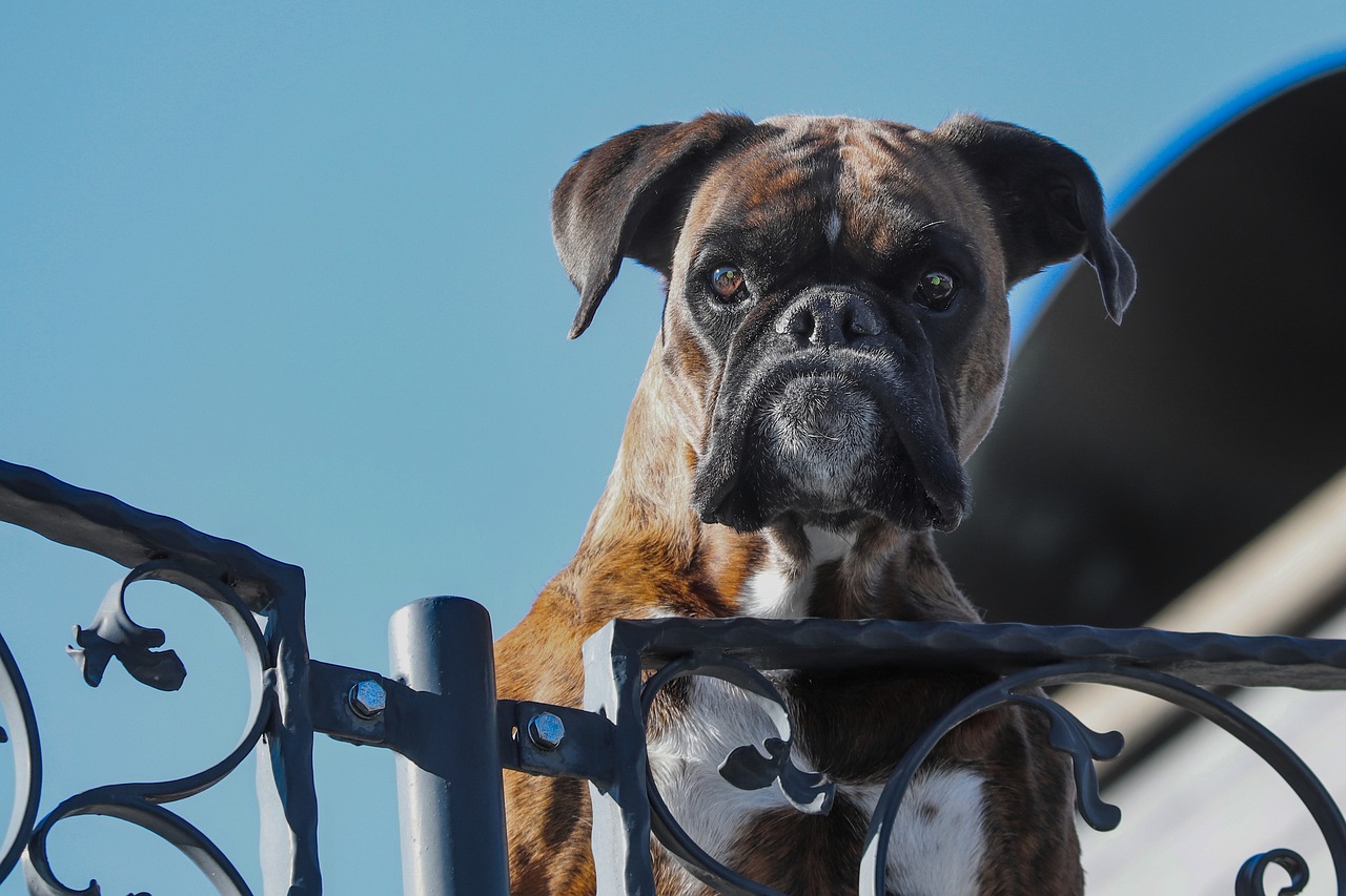 What is the Role of a Security Guard in Residential Areas